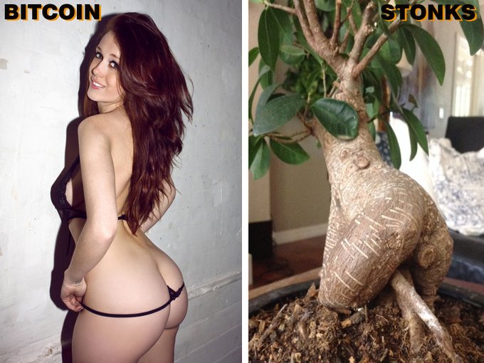 inappropriatestonksbitcoinwoman